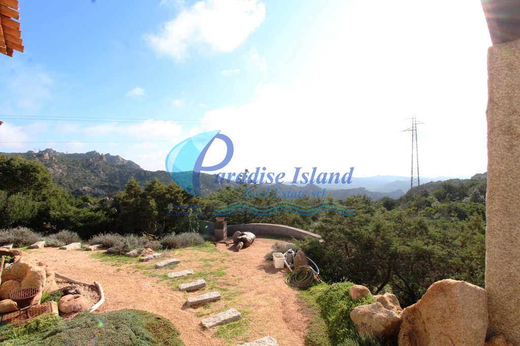 Paradise Island