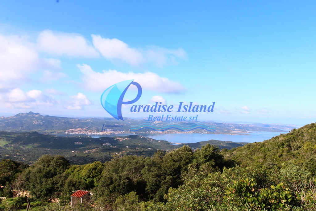 Paradise Island