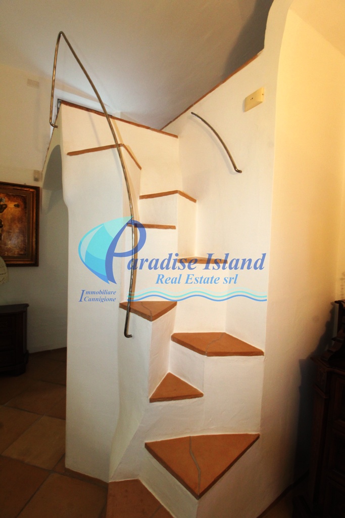 Paradise Island