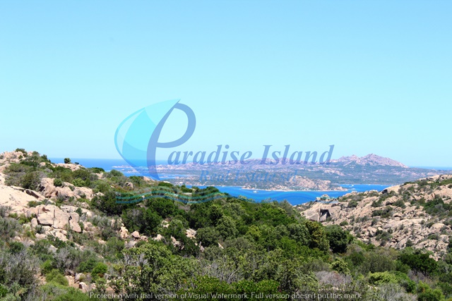 Paradise Island