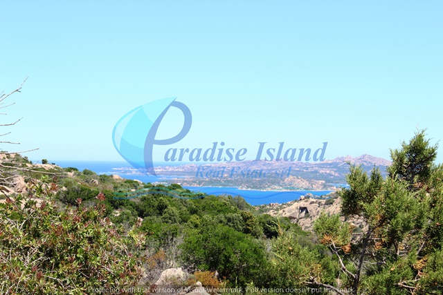 Paradise Island
