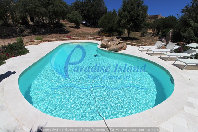 Paradise Island