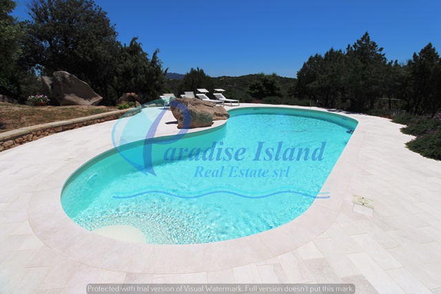 Paradise Island