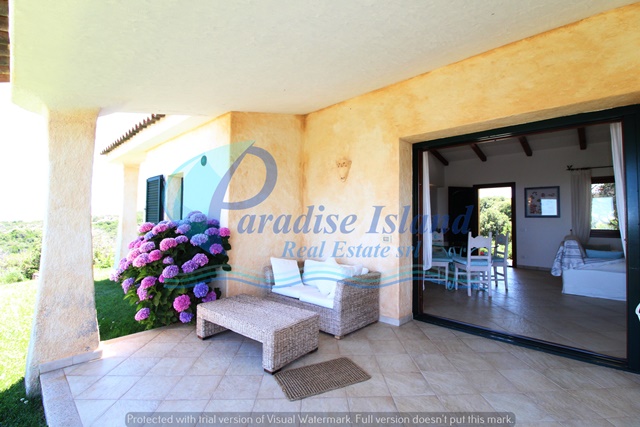 Paradise Island