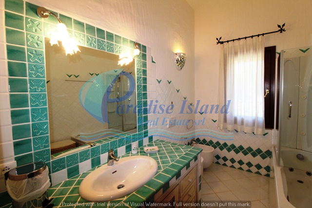 Paradise Island