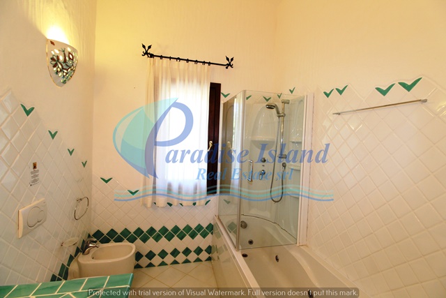 Paradise Island