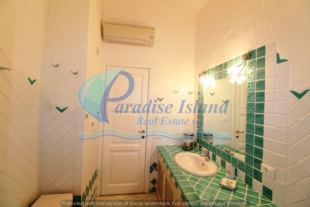 Paradise Island