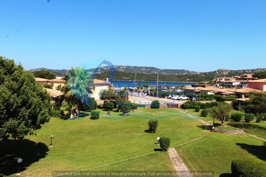 Paradise Island