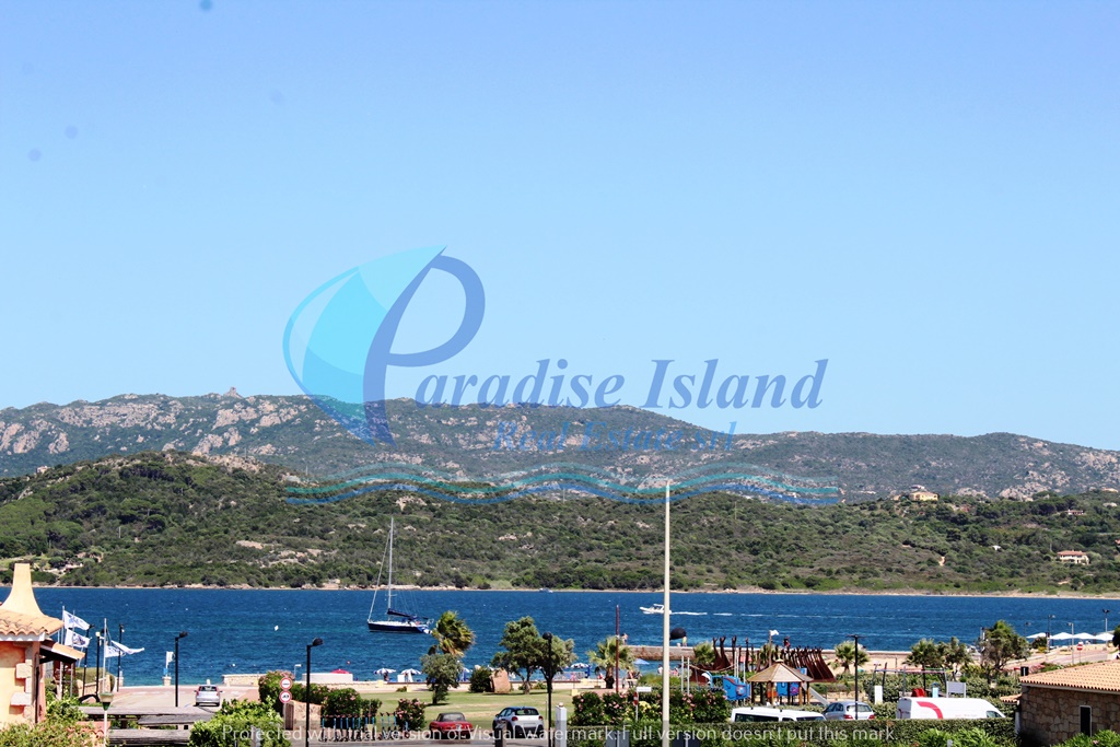 Paradise Island