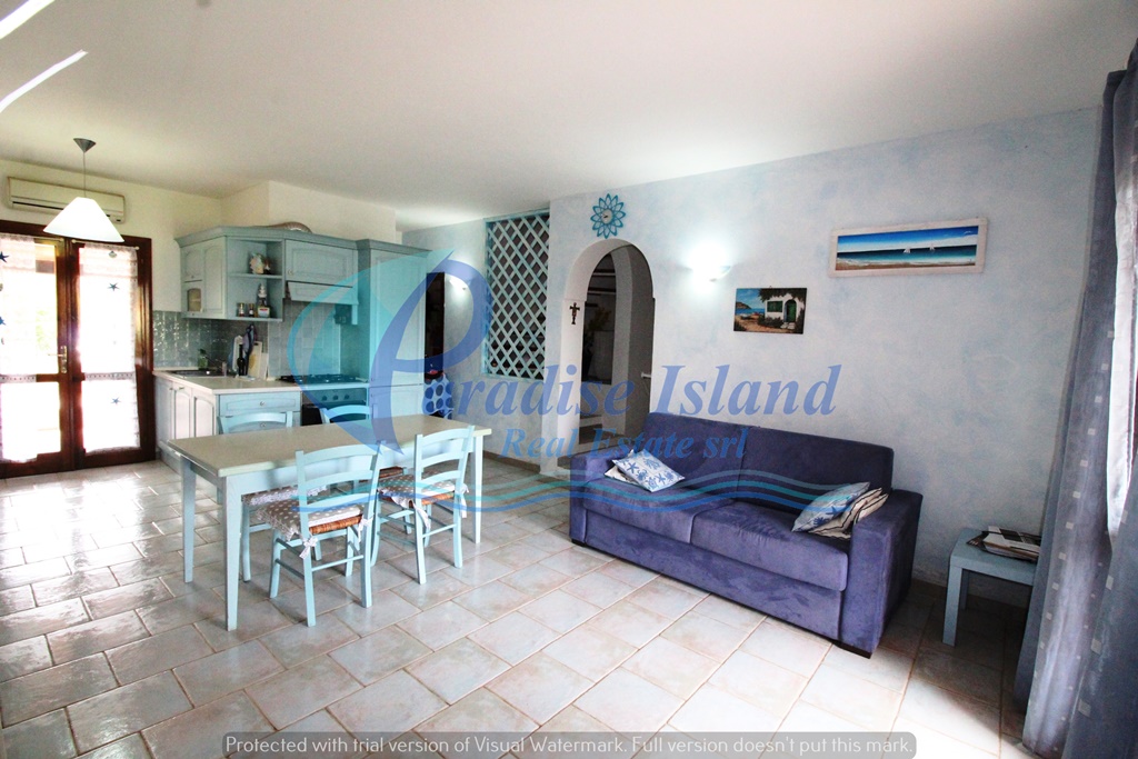 Paradise Island