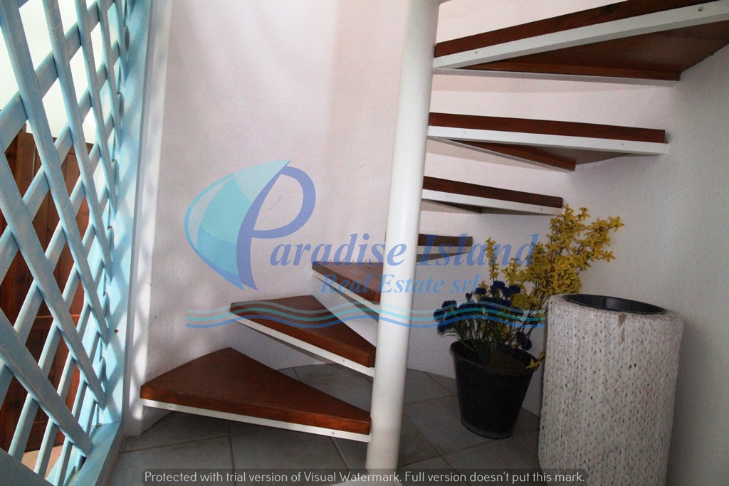 Paradise Island