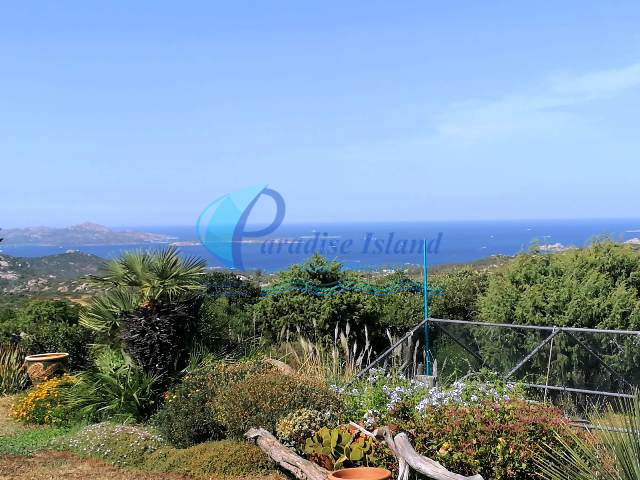 Paradise Island
