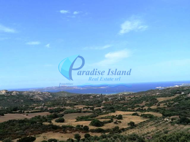 Paradise Island