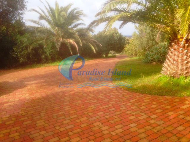 Paradise Island