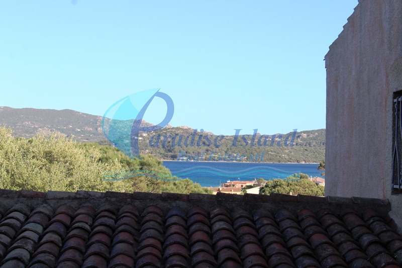 Paradise Island