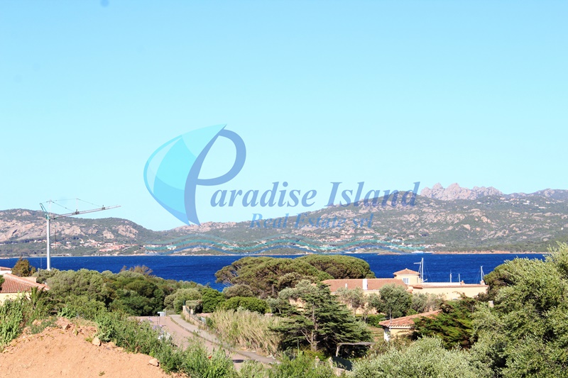 Paradise Island