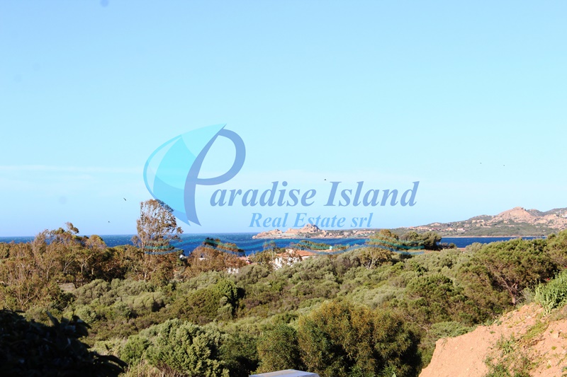Paradise Island
