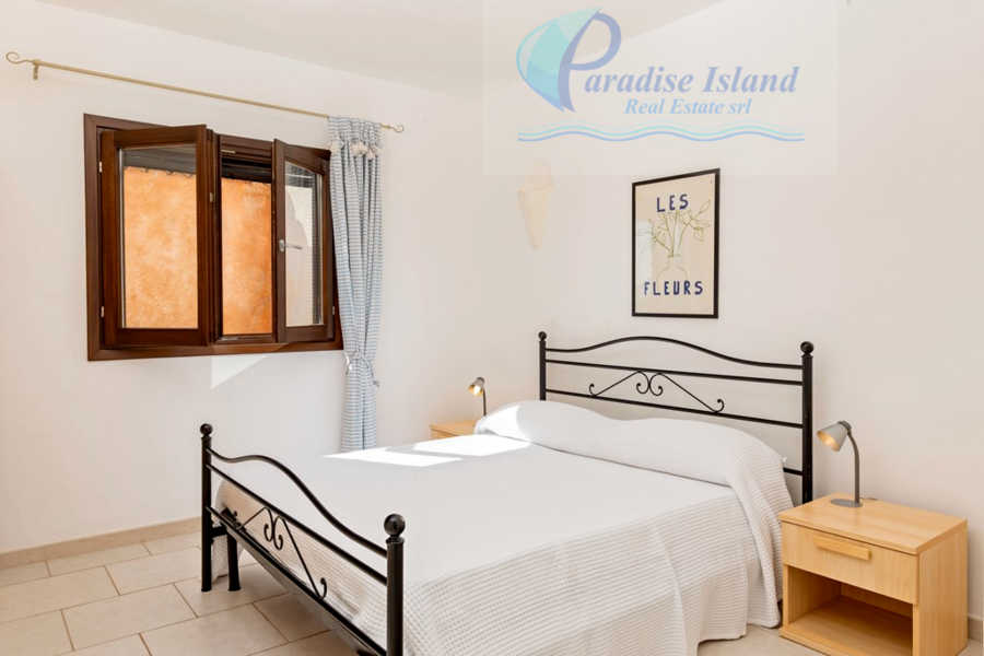 Paradise Island