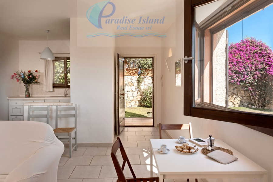 Paradise Island