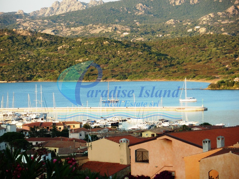 Paradise Island