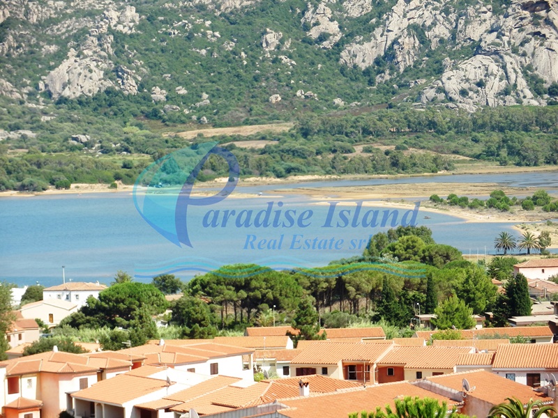 Paradise Island