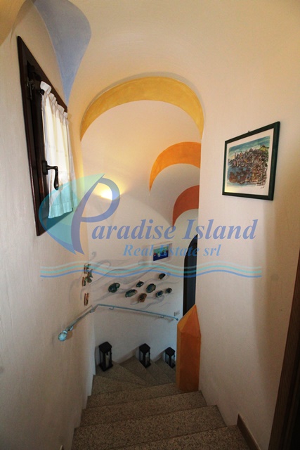 Paradise Island