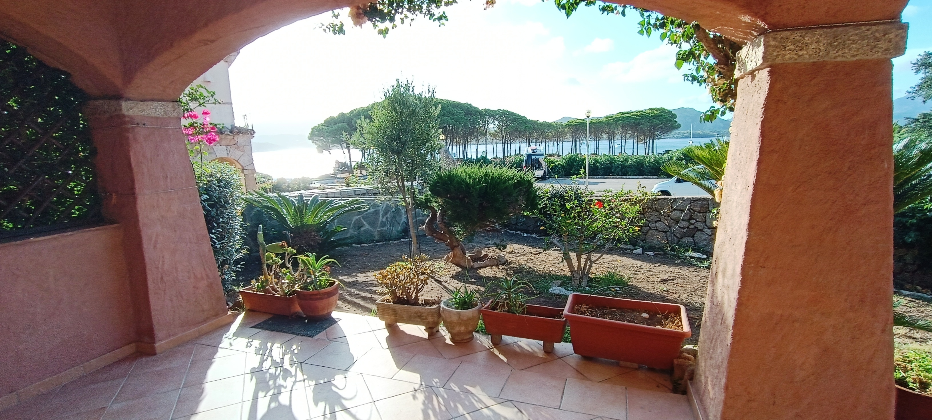 Paradise Island