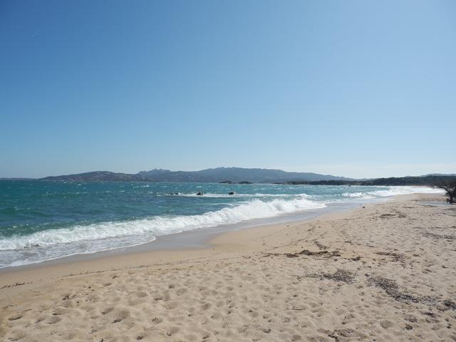 MARE